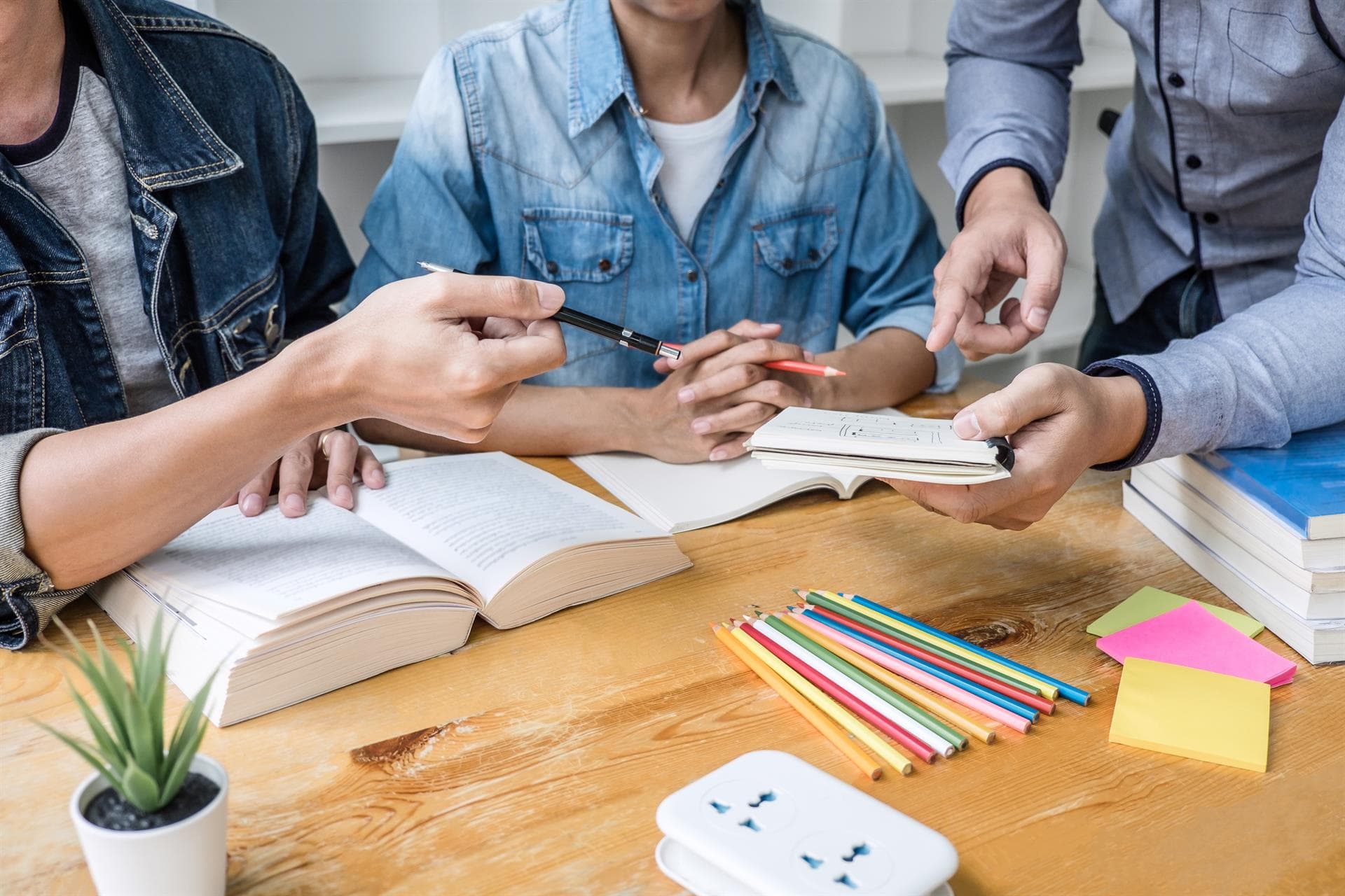 The Jungle - Tu academia de inglés y refuerzo educativo en Ourense